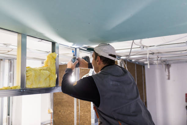 Best Insulation for New Construction  in Belle Chasse, LA