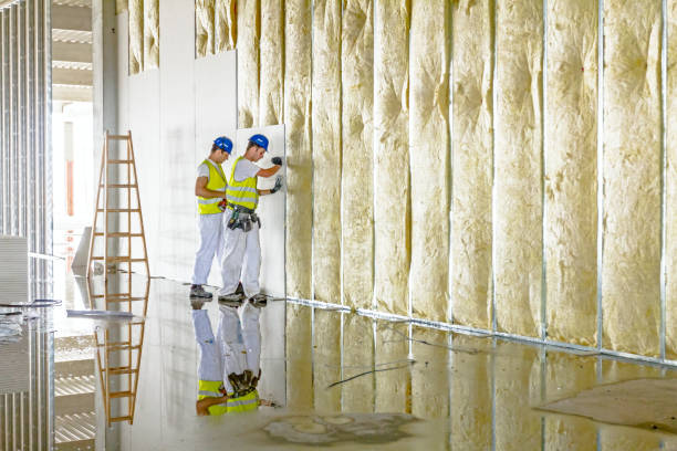 Best Insulation Replacement Services  in Belle Chasse, LA